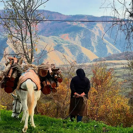 Peto House Vendégház Korça