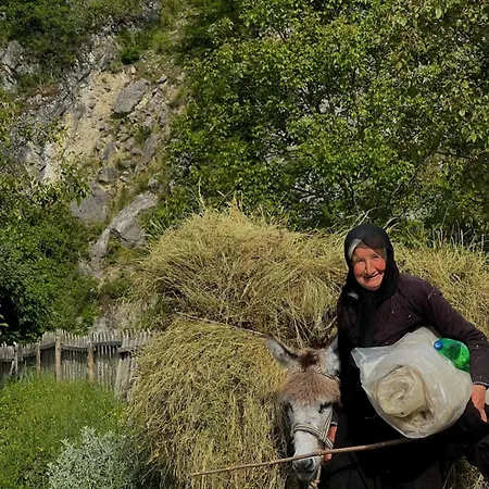 Vendégház Peto House Korça