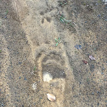 Peto House Vendégház