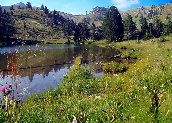 Peto House Pensjonat