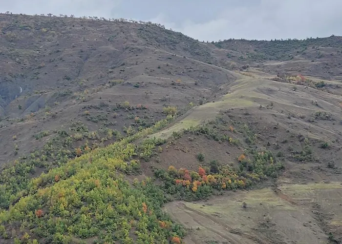 Pensjonat Peto House Korcza