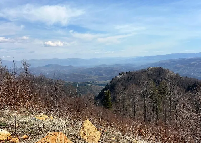 Peto House Pensjonat