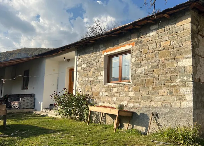 Peto House Pensión *