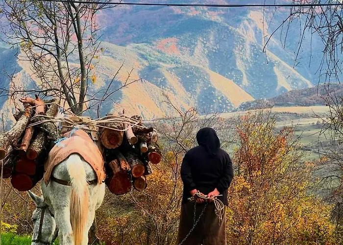 Peto House Pensjonat Korcza