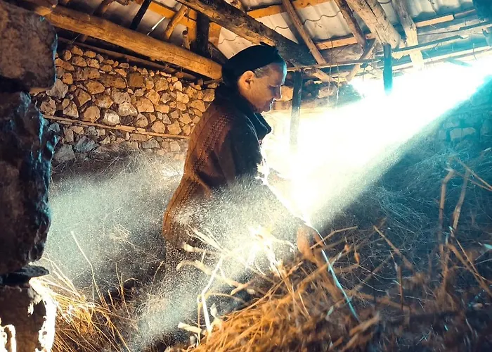 Peto House Pensjonat Korcza