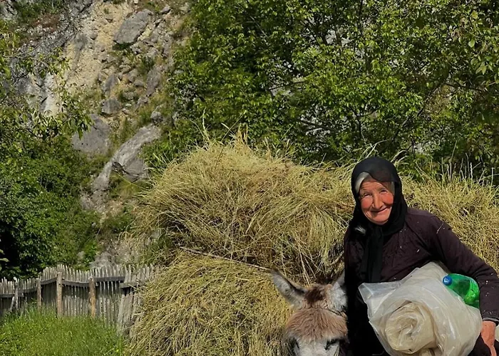 Pensjonat Peto House Korcza