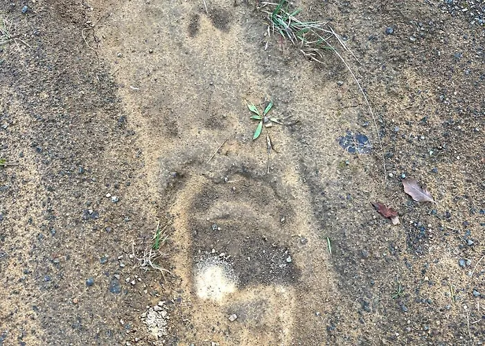 Peto House Pensjonat